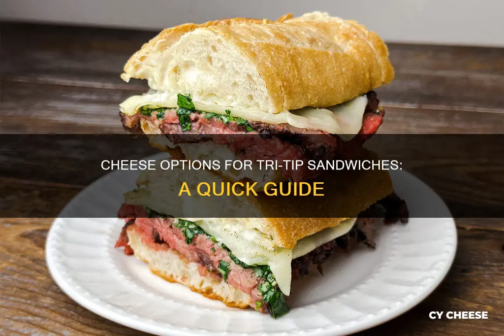 what kind of cheese for tri tip sandwich