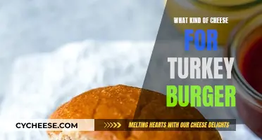 Best Cheeses to Accompany Turkey Burgers