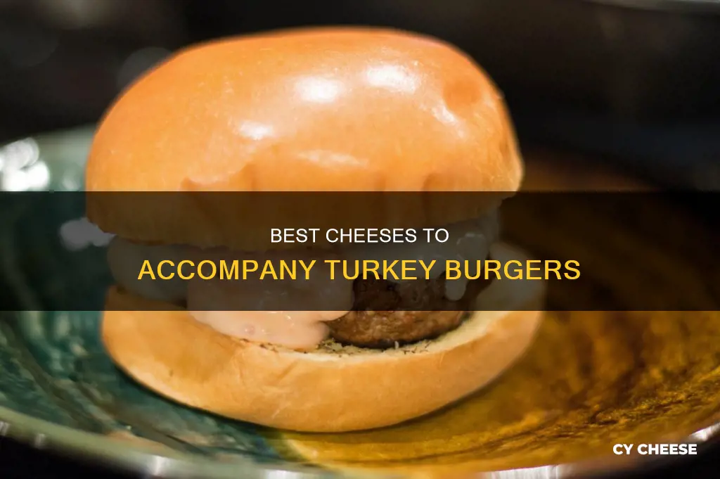 what kind of cheese for turkey burger