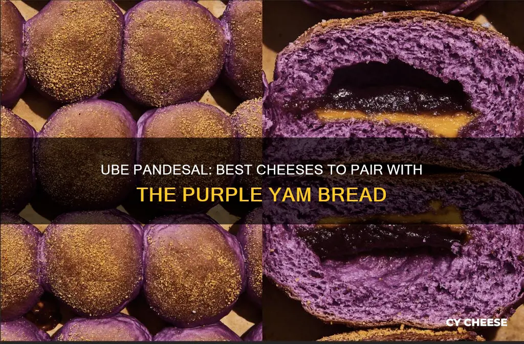 what kind of cheese for ube pandesal