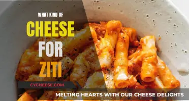 Cheese for Ziti: Mozzarella, Parmesan, and More!