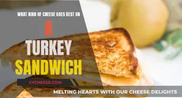 The Perfect Cheese for a Turkey Sandwich