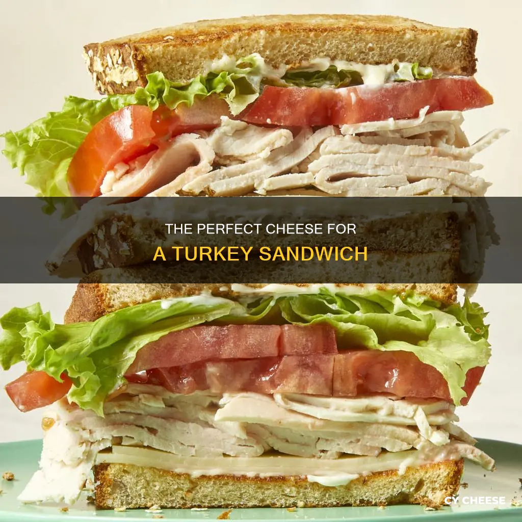 what kind of cheese goes best on a turkey sandwich