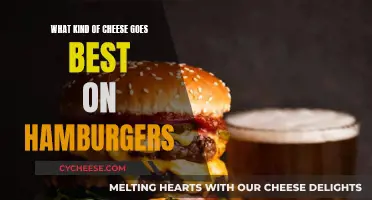 Cheese and Burger: Perfect Pairing for a Tasty Bite