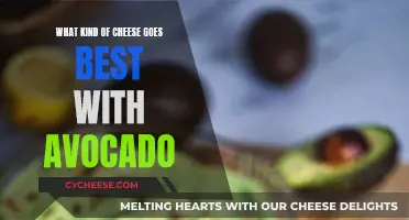 Avocado and Cheese: Perfect Pairing for a Snack