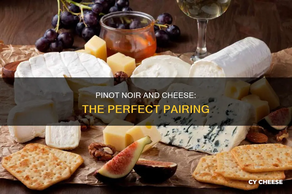 what kind of cheese goes best with pinot noir