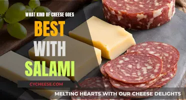 Best Cheeses to Pair with Salami: A Guide