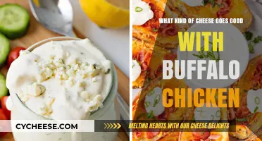 Best Cheeses to Pair with Buffalo Chicken for Ultimate Flavor