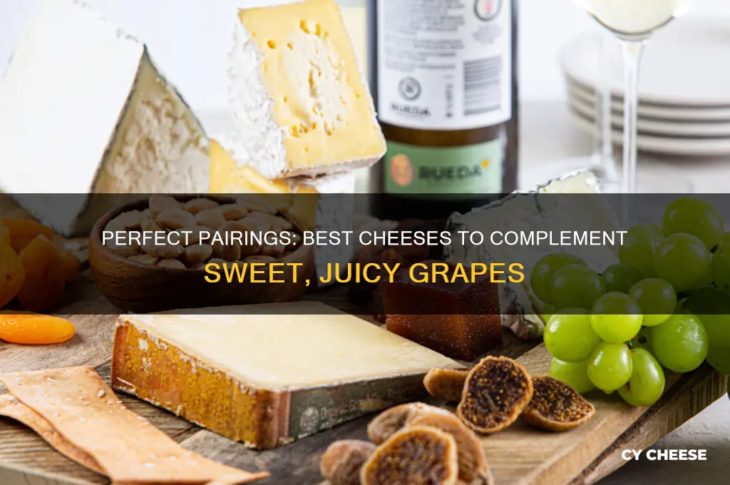 what kind of cheese goes good with grapes