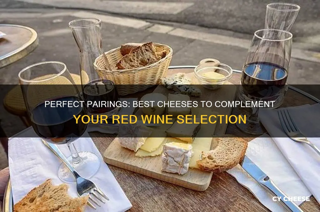 what kind of cheese goes good with red wine