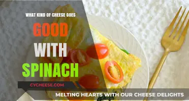 Spinach and Cheese Pairing: Top Cheeses to Elevate Your Greens