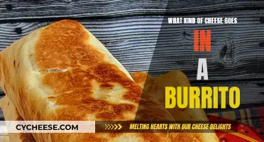 Burrito Bliss: Exploring Cheese Options for Flavorful Delights