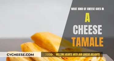 Cheese Tamales: Which Cheeses Work Best?