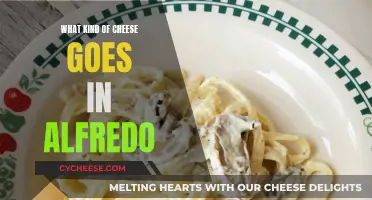 The Best Cheeses for a Delicious Alfredo Sauce