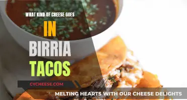 Birria Tacos: Which Cheeses Melt the Best?