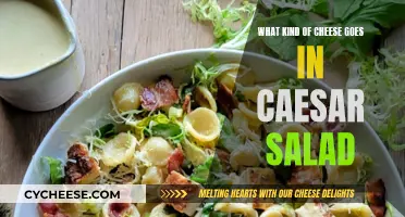 The Best Cheeses to Sprinkle on Your Caesar Salad