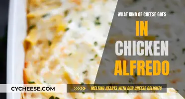 Chicken Alfredo: Choosing the Perfect Cheesy Blend