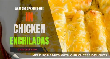 Cheese Chicken Enchiladas: Choosing the Perfect Cheese