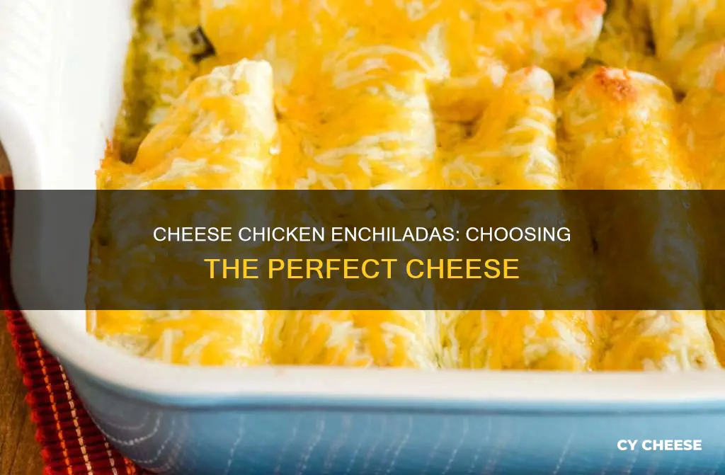 what kind of cheese goes in chicken enchiladas