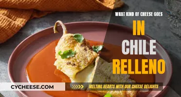 Cheese Choices for Chile Relleno: The Perfect Melting Pair