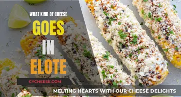 Elote: Choosing the Perfect Cheese for This Mexican Street Food