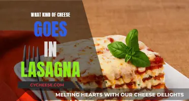 Lasagna's Cheesy Affair: Perfect Cheese Combinations