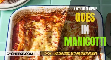 Cheese Options for Manicotti: The Best Melty Combinations