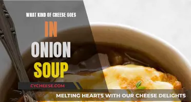 Cheese and Onion Soup: Perfect Pairing for Comfort Food