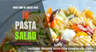 Cheese and Pasta: Perfect Salad Pairing Ideas