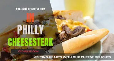 Philly Cheesesteak: The Perfect Cheese Combination