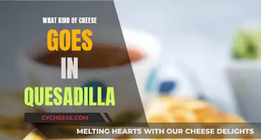 Cheese and Quesadillas: Perfect Pairing for a Quick Bite