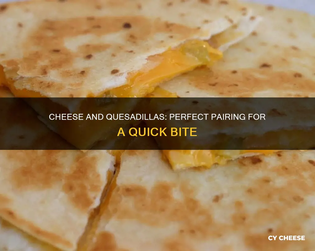 what kind of cheese goes in quesadilla