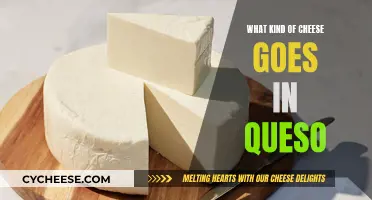 Cheese for Queso: Choosing the Right Melty Cheese