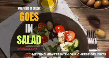 Cheese and Salad: Perfect Pairing Ideas