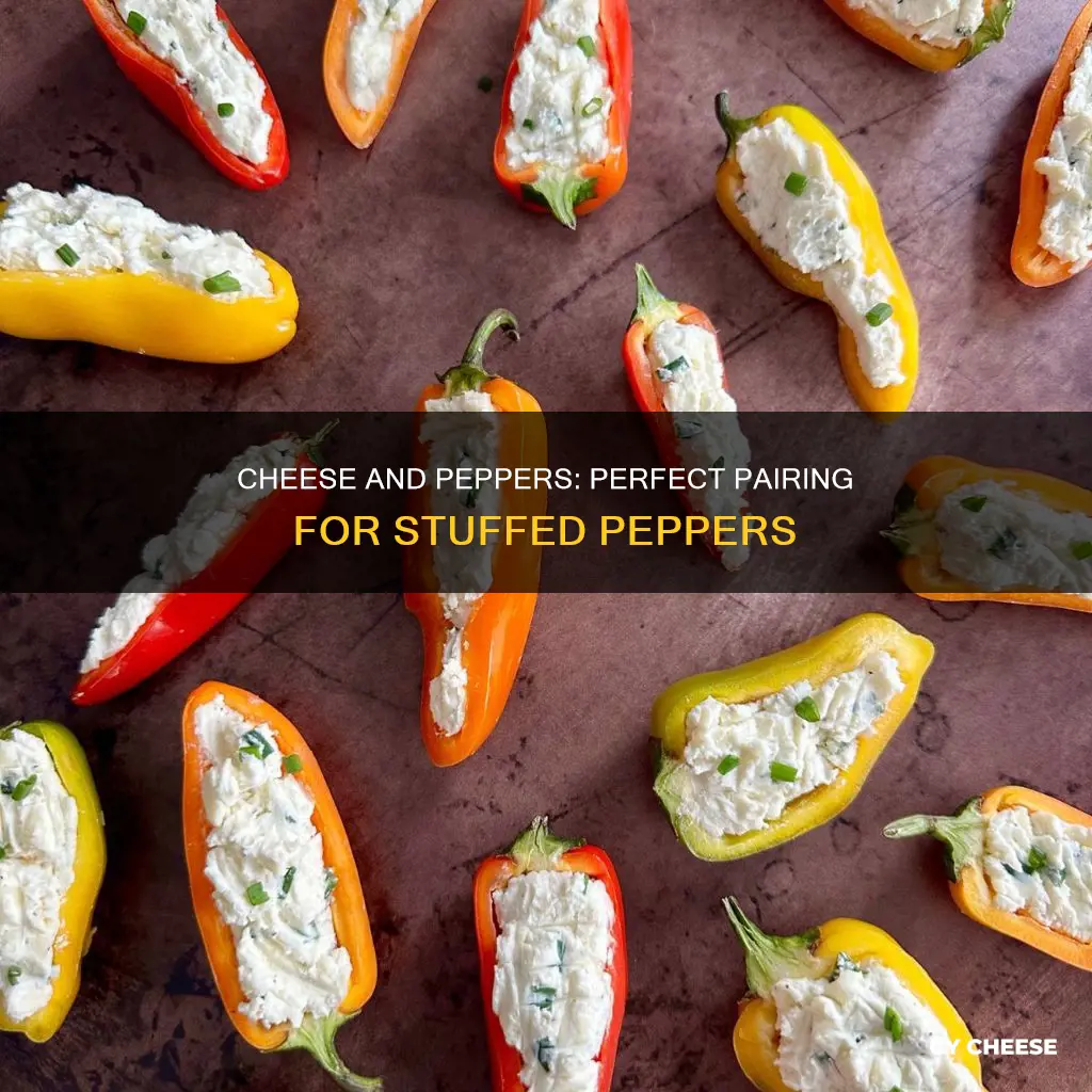 what kind of cheese goes in stuffed peppers