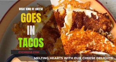 Cheese and Tacos: Perfect Pairing for a Delicious Snack