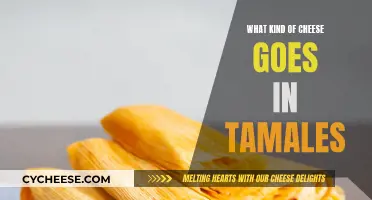 Best Cheeses for Tamales: A Tasty Guide