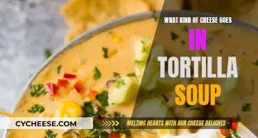 Cheese and Tortilla Soup: The Perfect Melty Combination