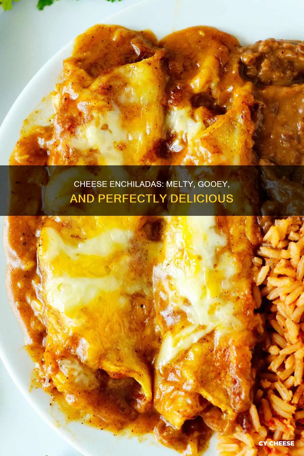 what kind of cheese goes inside enchiladas