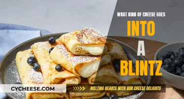 Blintz Bliss: Cream Cheese and More