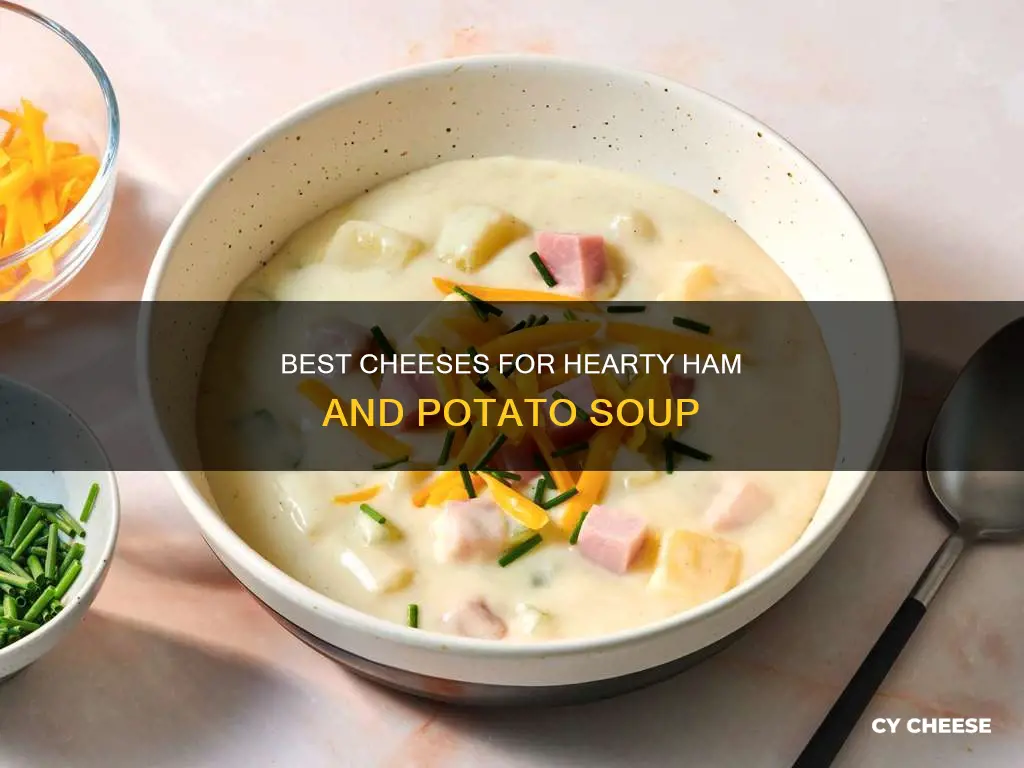 what kind of cheese goes into ham and potatoe soup