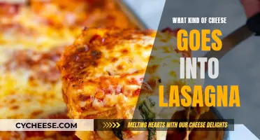 Lasagna's Cheesy Affair: Perfect Cheese Combinations