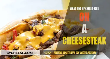 Cheesesteak 101: Choosing the Perfect Cheese for Your Sandwich