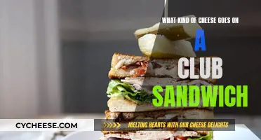 Cheese Options for Club Sandwiches: A Quick Guide