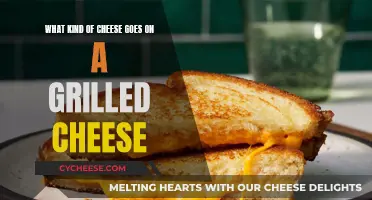 The Best Cheeses for a Grilled Cheese Sandwich