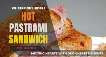 Hot Pastrami: Best Cheese Pairings for the Classic Sandwich