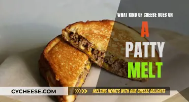 The Perfect Patty Melt: Choosing the Right Cheese