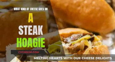 The Best Cheeses to Compliment a Steak Hoagie