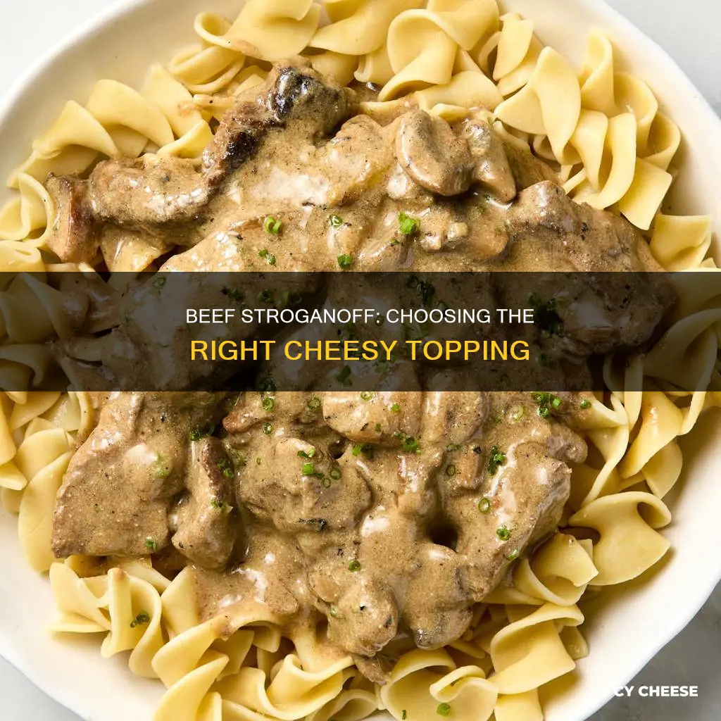 what kind of cheese goes on beef stroganoff