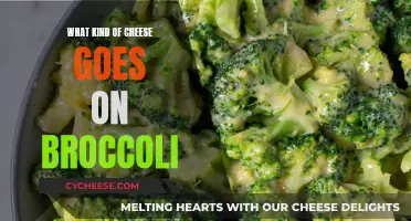 Best Cheeses to Pair with Broccoli: A Guide